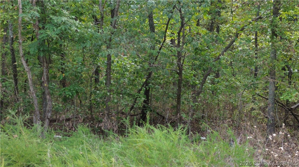 Ozark Trail Road Lincoln, MO 65338 - Photo 6 of 6 Gallery Image 6