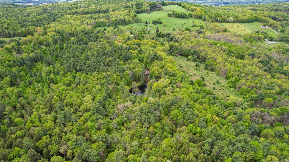 1028 Copes Corners Road Butternuts, NY 13843 - Photo 34 of 36