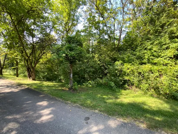a view of a yard with plants and trees