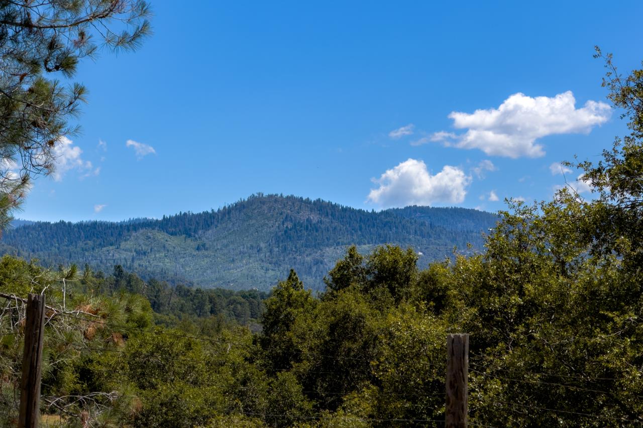 43016 Sunshine Mountain Road Oakhurst, CA 93644 - Photo 60 of 85