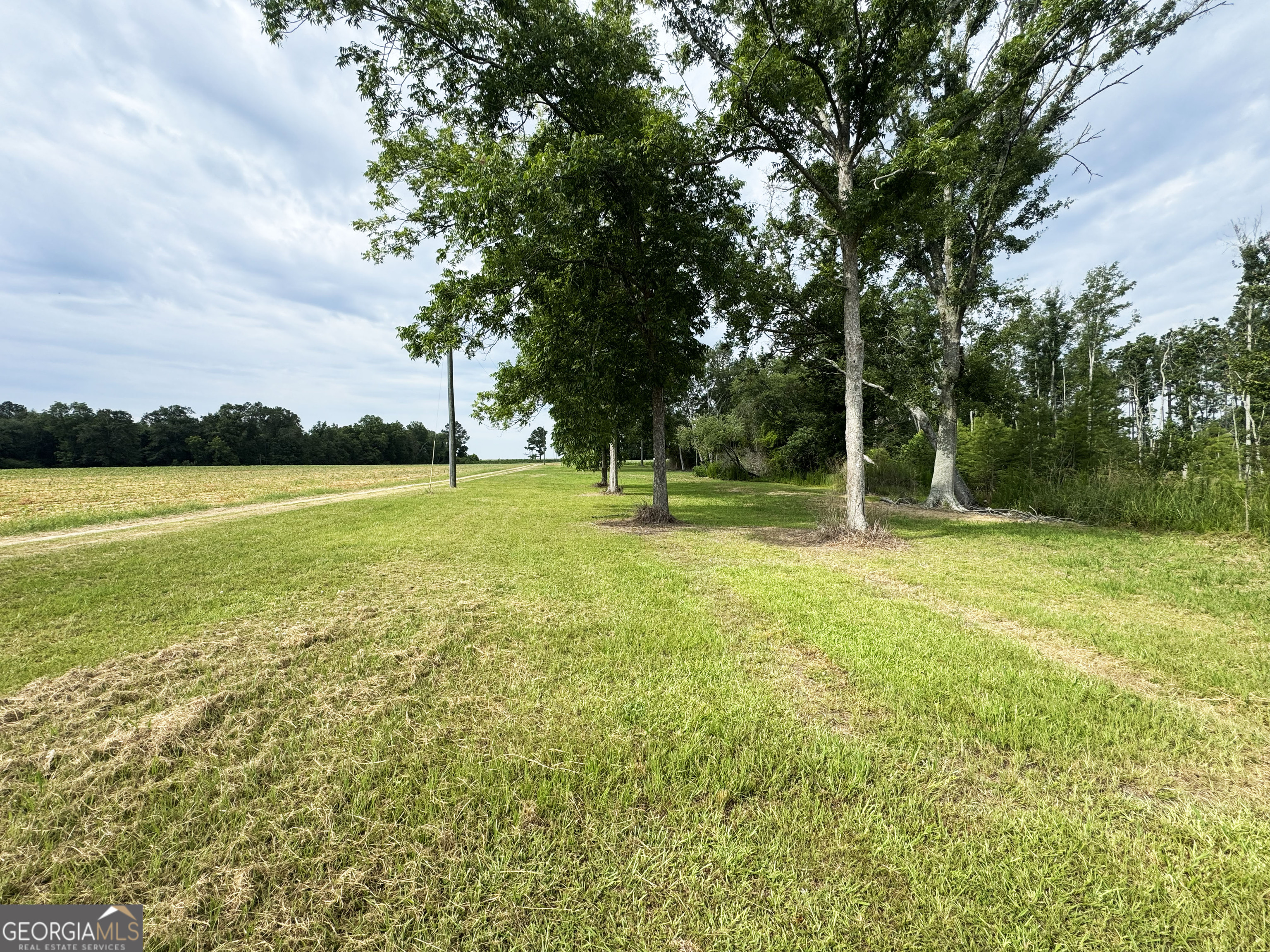 245 Brookfield Nashville Road Enigma, GA 31749 - Photo 28 of 38