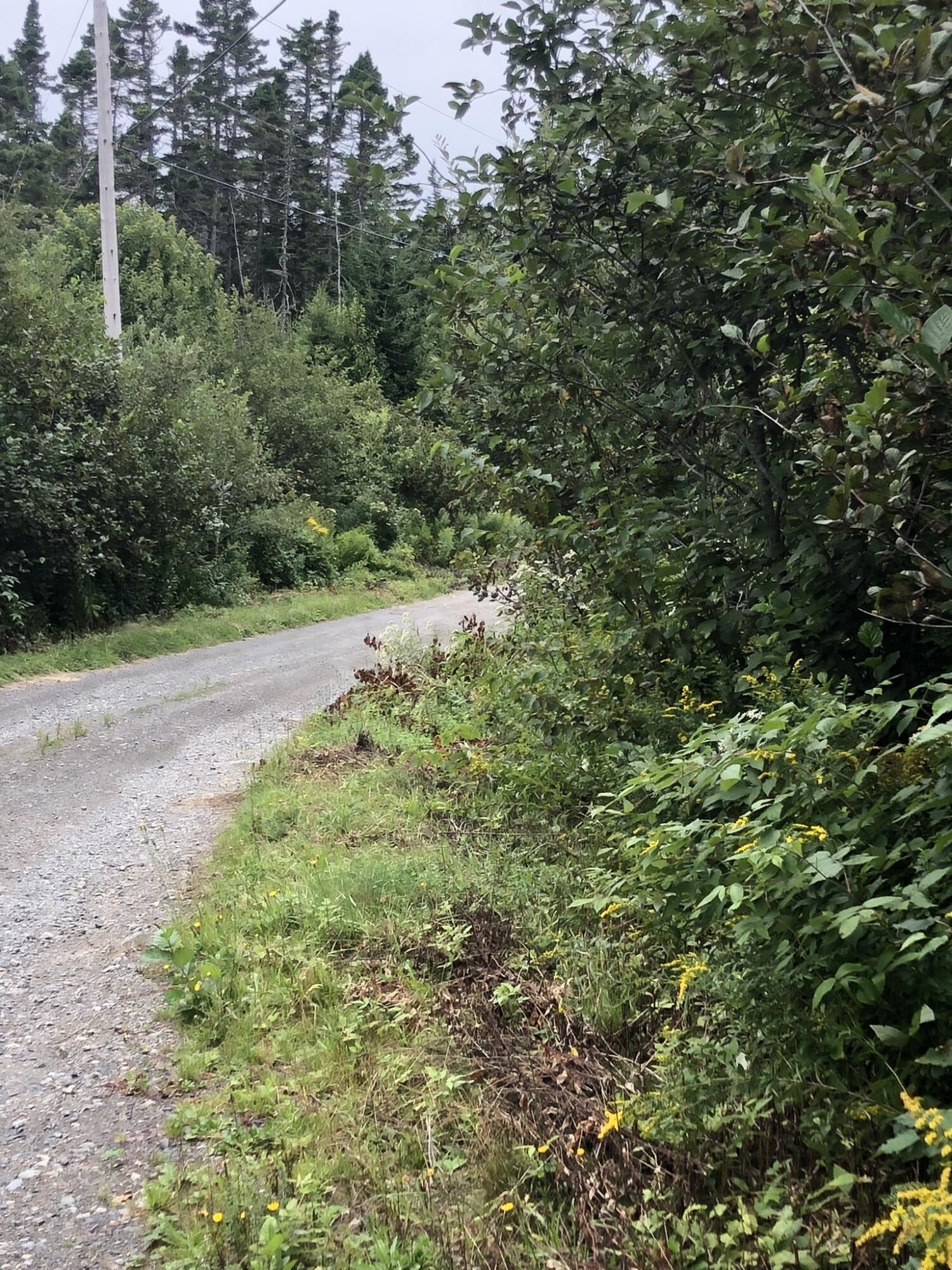 Lot25-a-1 Boot Cove Road Lubec, ME 04652 - Photo 28 of 34 4EB8DDEB-CE5A-450B-B379-E11F1BFC957C