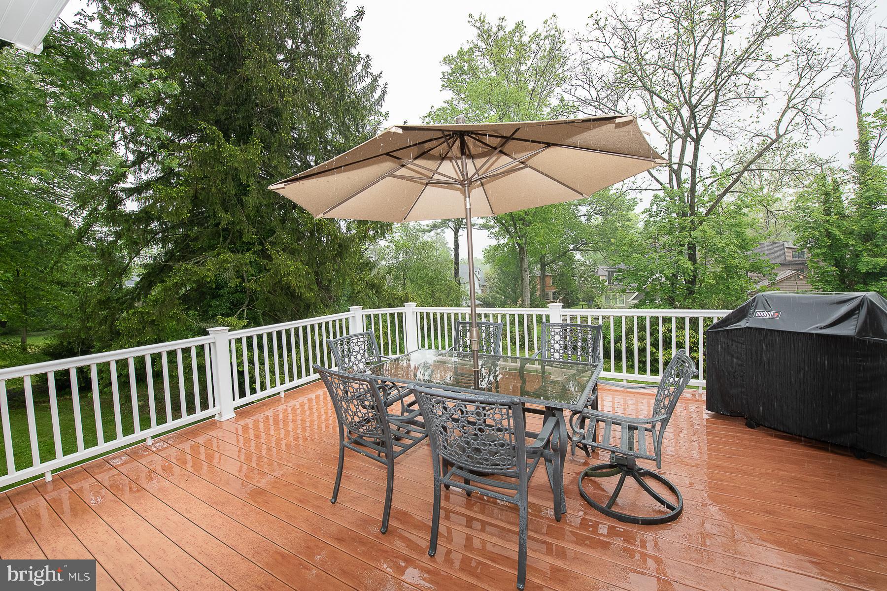 317 Conestoga Road Wayne, PA 19087 - Photo 23 of 65 deck