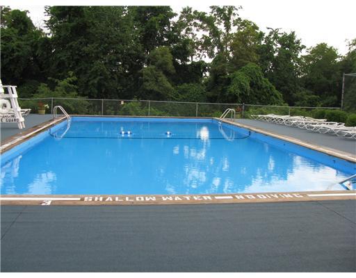 1305 Kenzie Road Pittsburgh, PA 15205 - Photo 11 of 13 Swimming Pool/Hot Tub/Sauna.