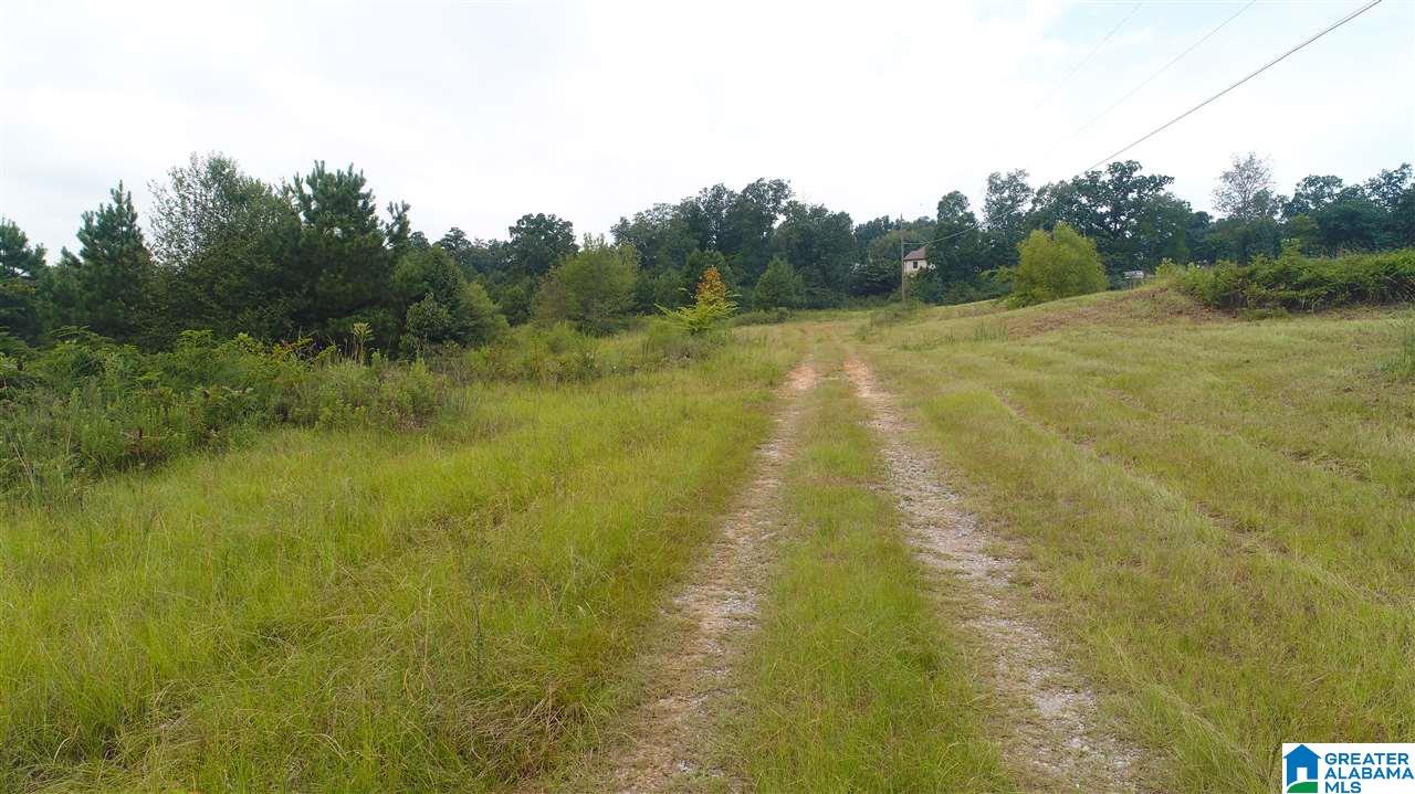 885 Hitching Post Lane, Unit 20 ACRES Birmingham, AL 35210 - Photo 14 of 16