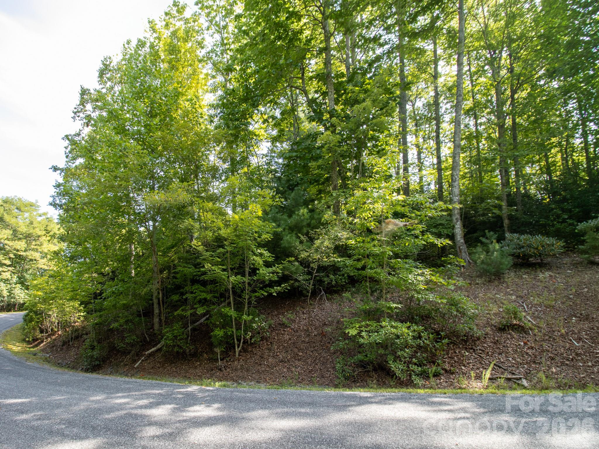 Tbd Kelly Mountain Road, Unit 19 Brevard, NC 28712 - Photo 3 of 13 Gallery Image 3