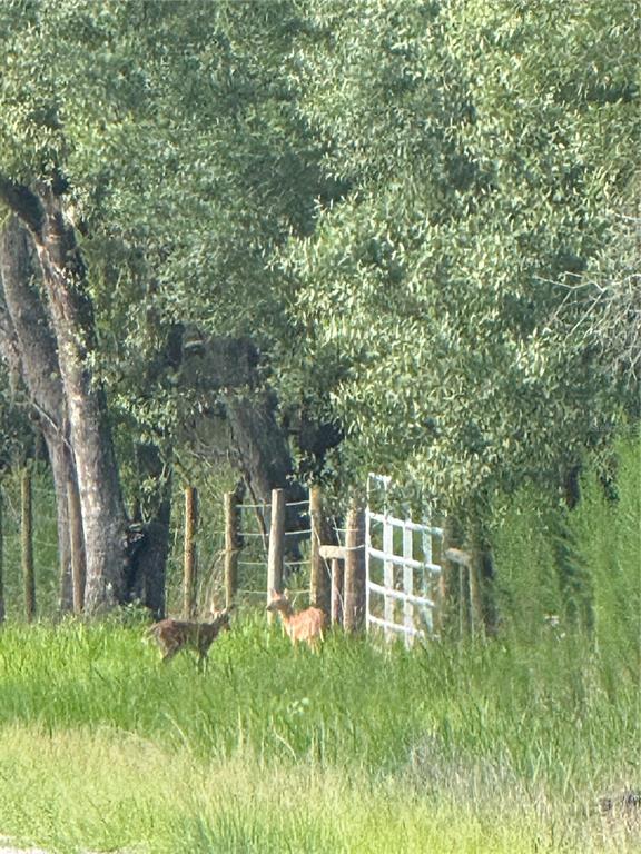 Southeast Brown Road Arcadia, FL 34266 - Photo 10 of 18