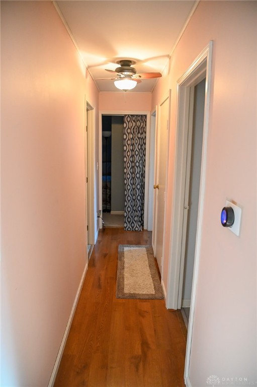 728 Clarendon Road Troy, OH 45373 - Photo 11 of 59 Gallery Image 11