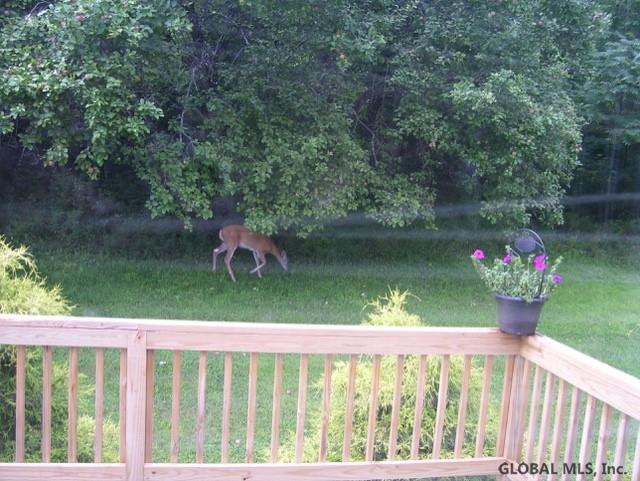 549 Middle Road Granville, NY 12832 - Photo 25 of 27 Photo 29