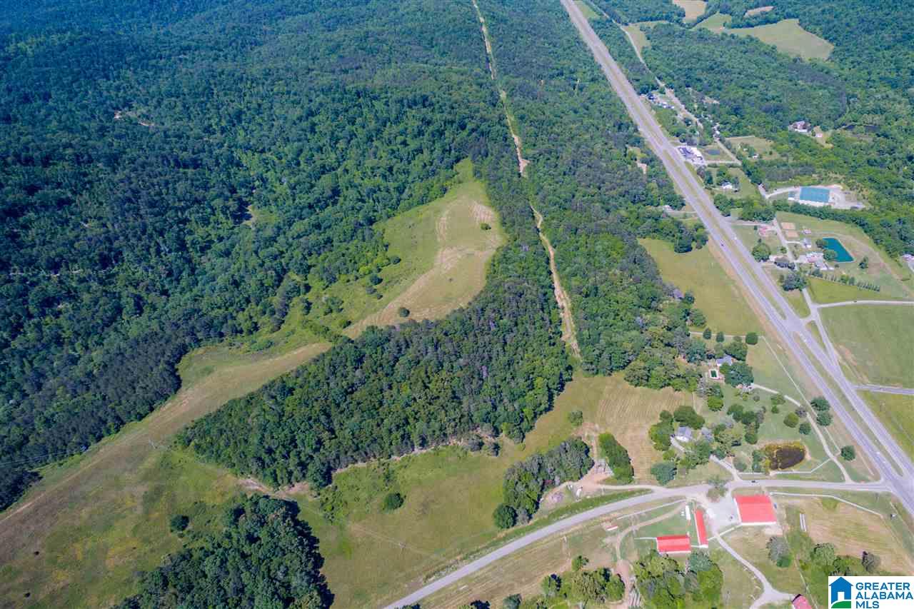 20 County Road 15 Oneonta, AL 35121 - Photo 35 of 41