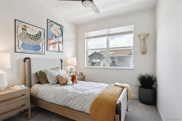 a bedroom with bed and a window