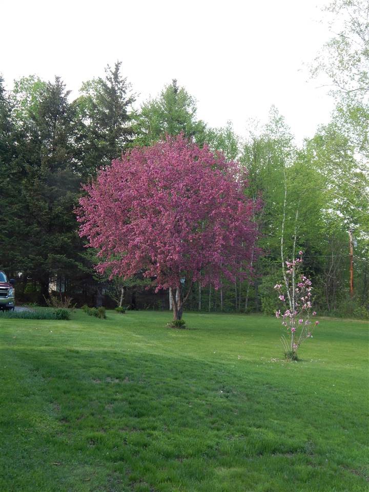 85 Cherry Lane Weathersfield, VT 05089 - Photo 3 of 32