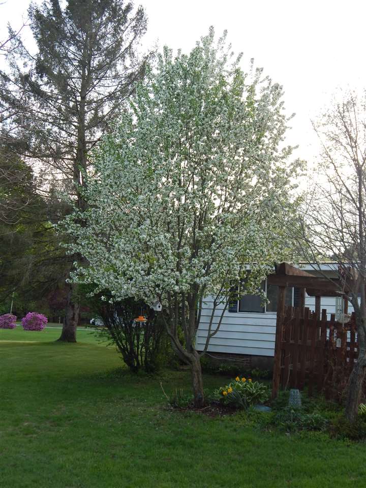 85 Cherry Lane Weathersfield, VT 05089 - Photo 24 of 32