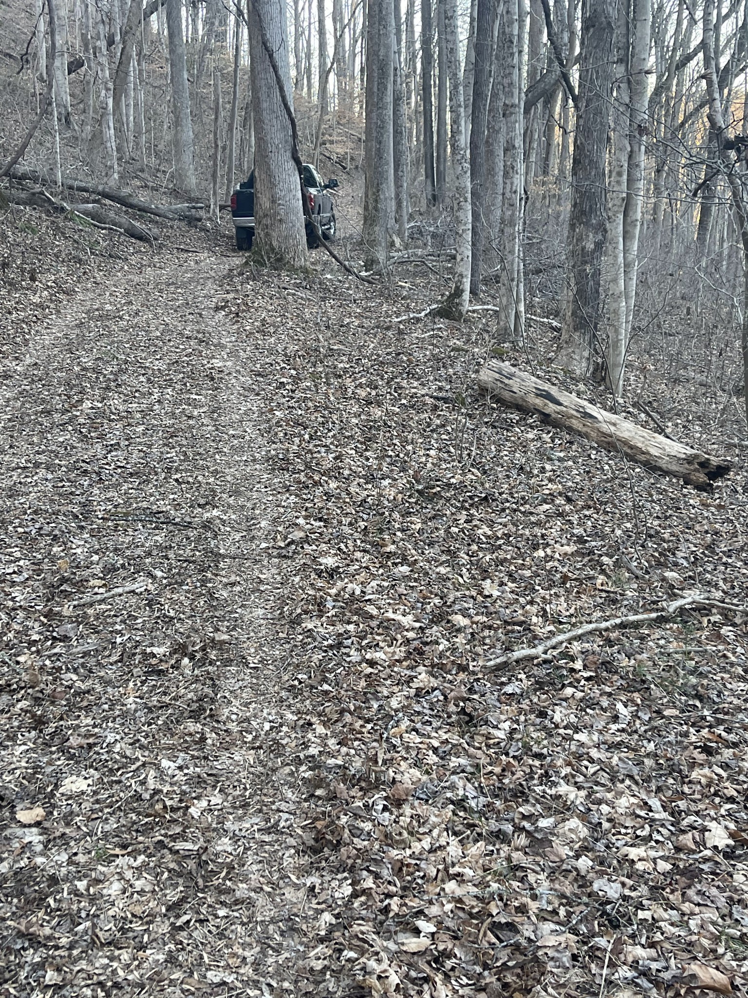 0 Back Bone Road Sparta, TN 38583 - Photo 11 of 21