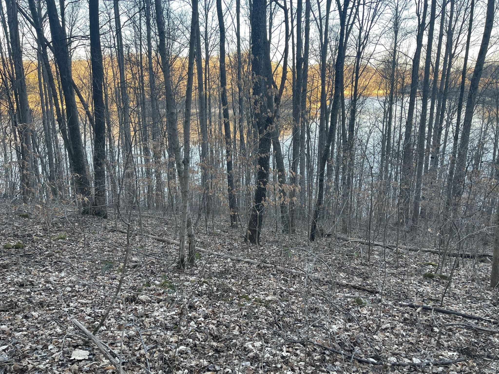 0 Back Bone Road Sparta, TN 38583 - Photo 8 of 21