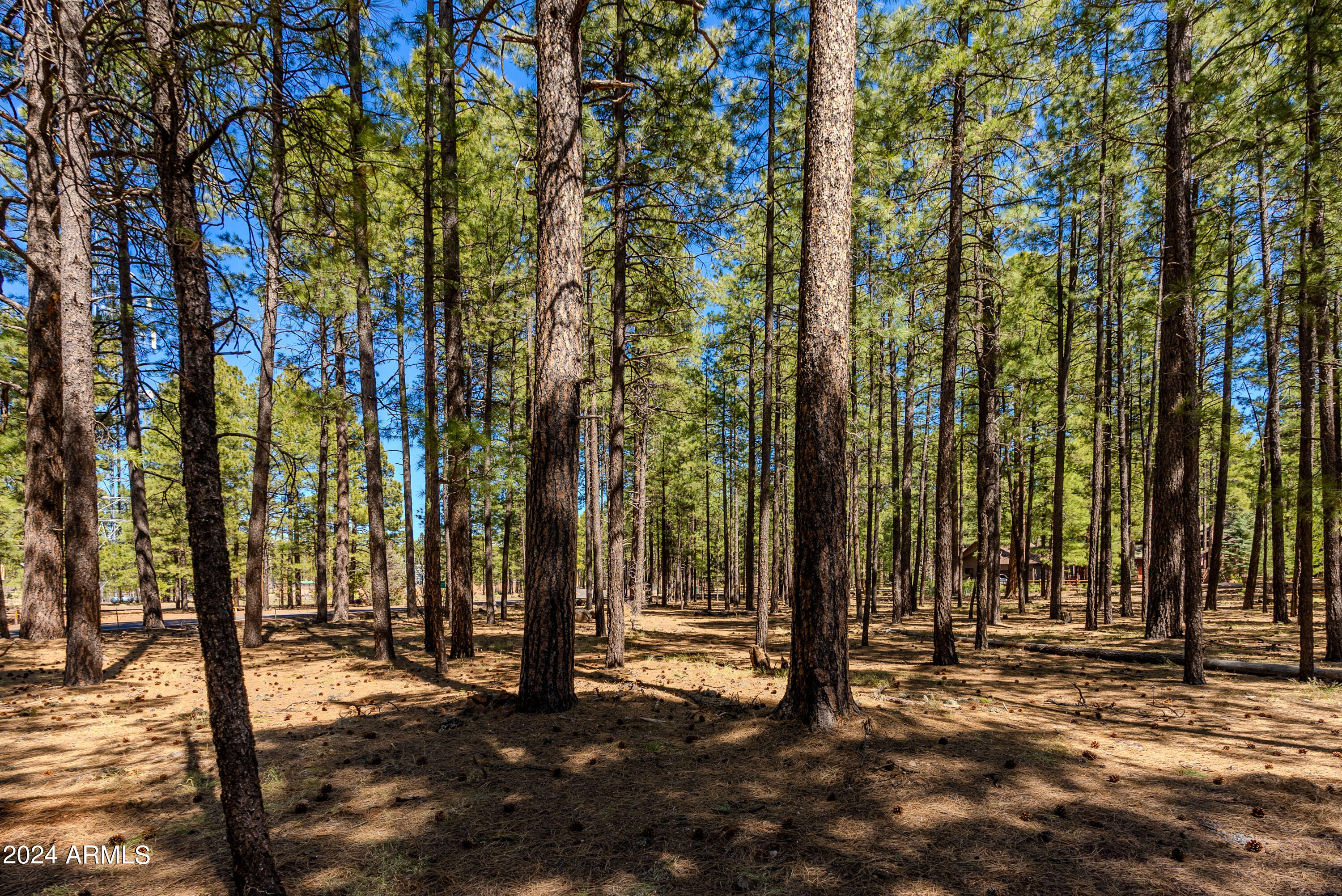 4583 Sky Hi Road Pinetop, AZ 85935 - Photo 23 of 30 4583 Sky Hi-23