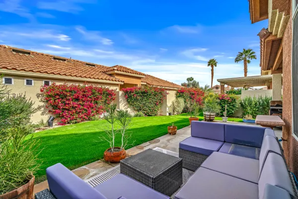 a view of a patio with couches plants and large trees