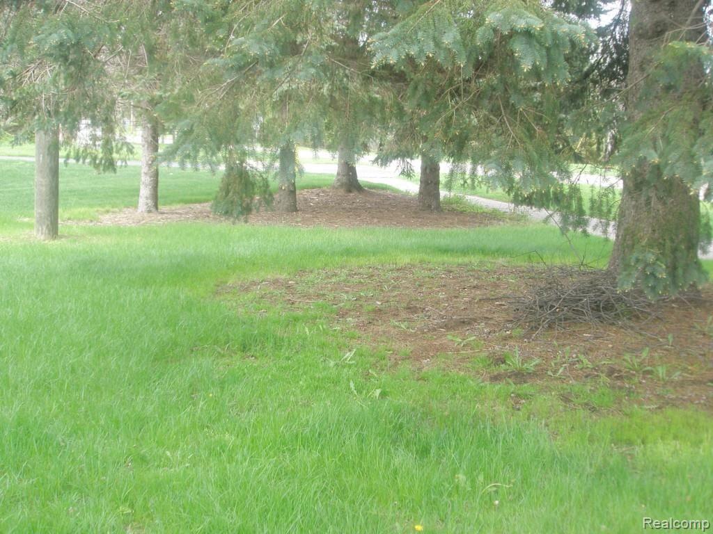 1410 John R Road Rochester, MI 48307 - Photo 9 of 34 PRIVATE PARK-LIKE SETTING