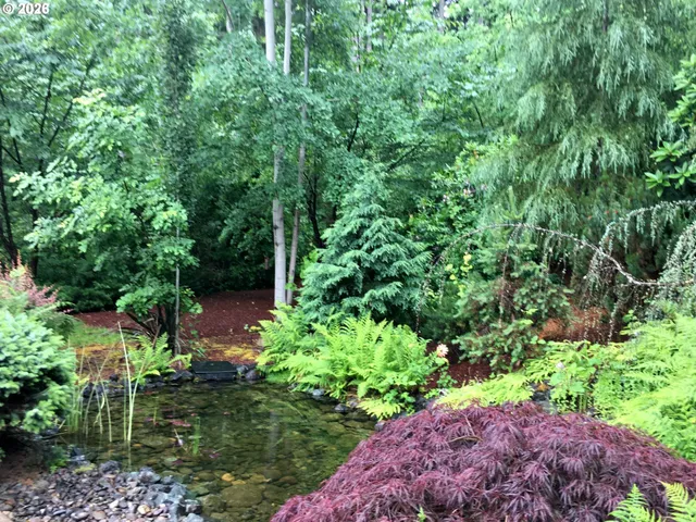 a view of a yard with a tree