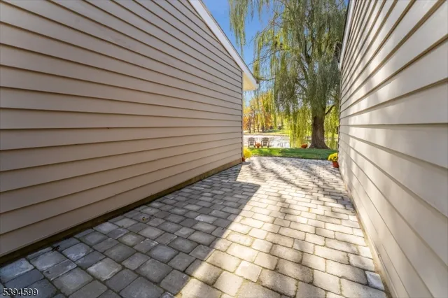 a view of a yard with plants