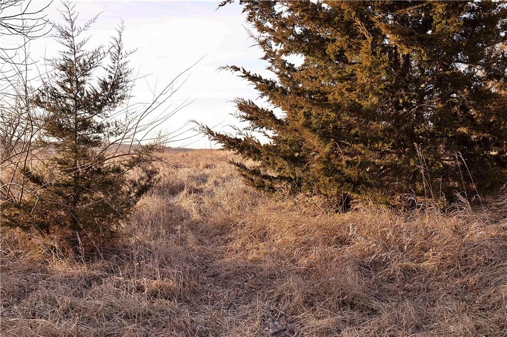 East 220th Lane Bethany, MO 64424 - Photo 47 of 57