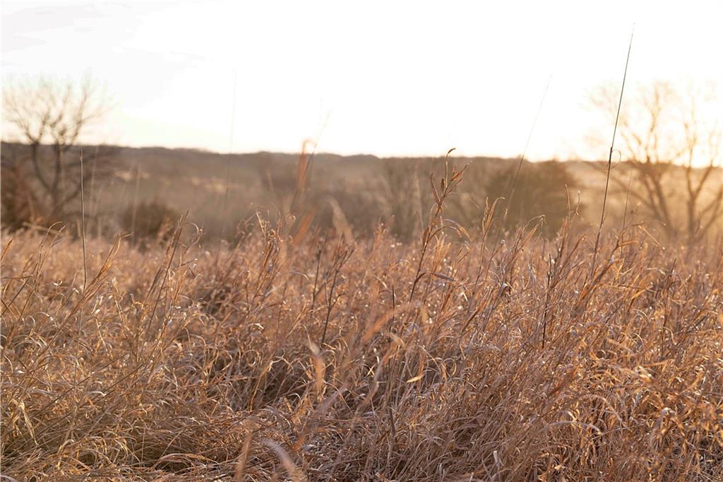East 220th Lane Bethany, MO 64424 - Photo 49 of 57