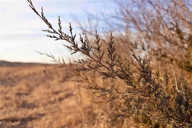 $399,000 | East 220th Lane, Bethany, MO 64424