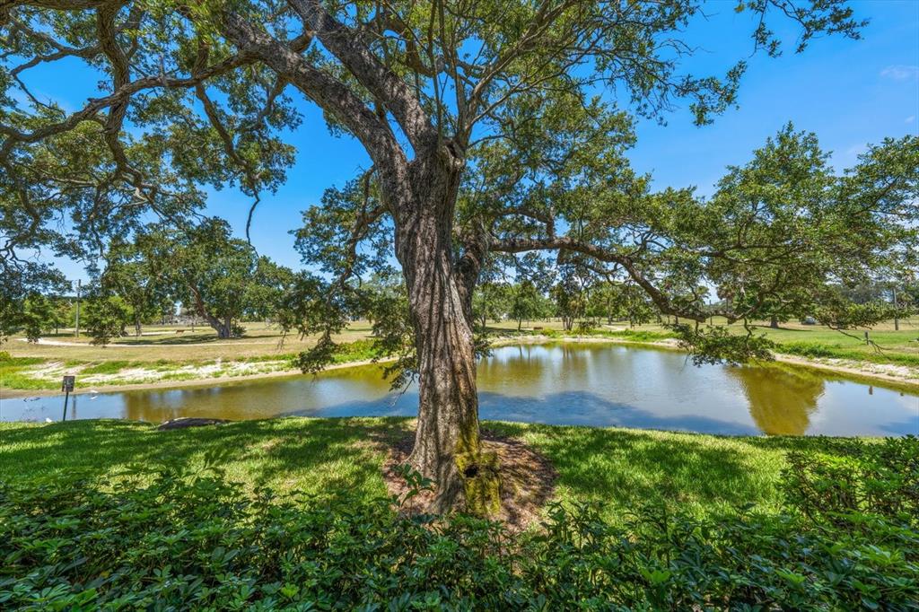 2152 Gulf View Boulevard, Unit 2152 Dunedin, FL 34698 - Photo 35 of 65