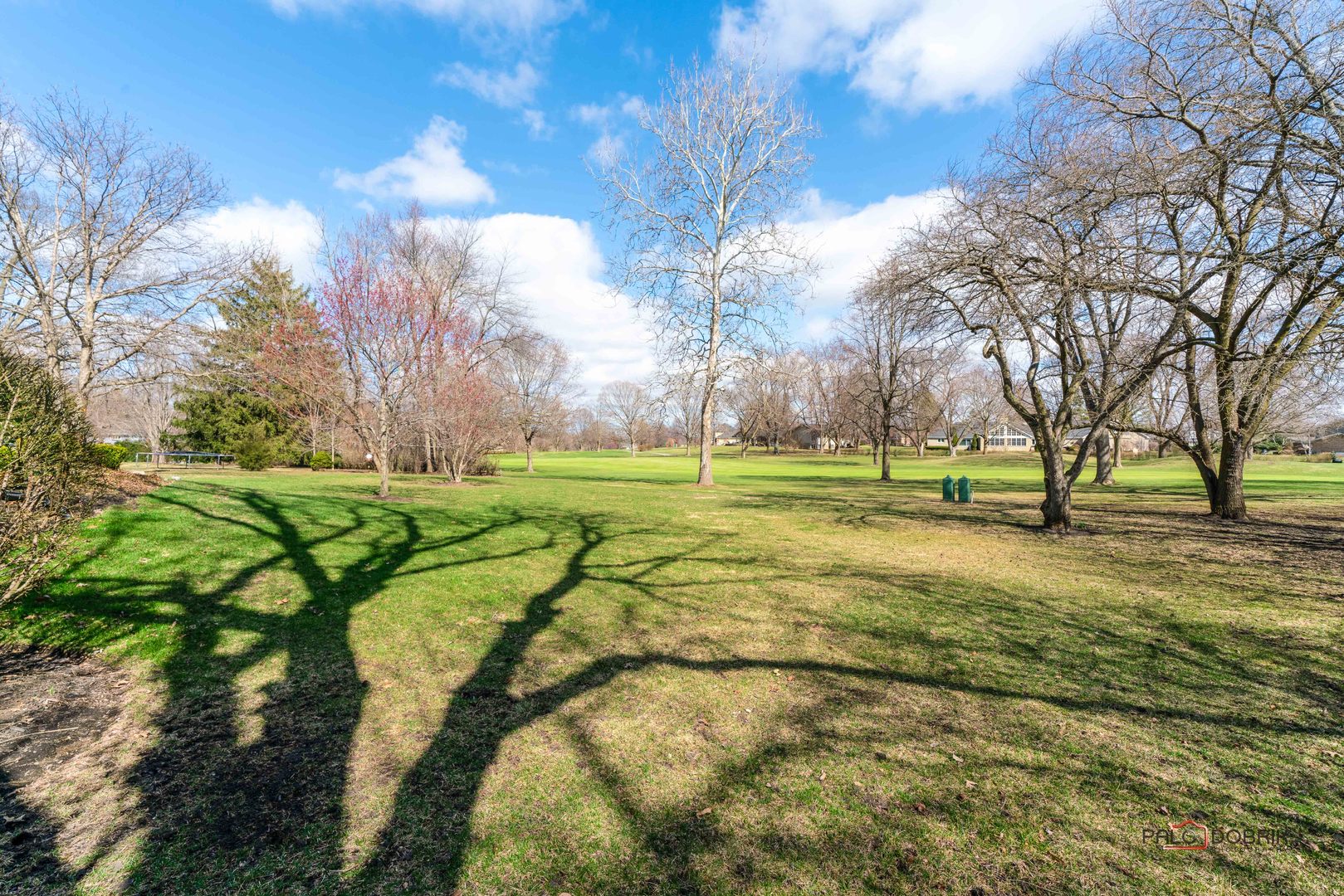 2307 Old Hicks Road Long Grove, IL 60047 - Photo 45 of 59 a view of yard with green space
