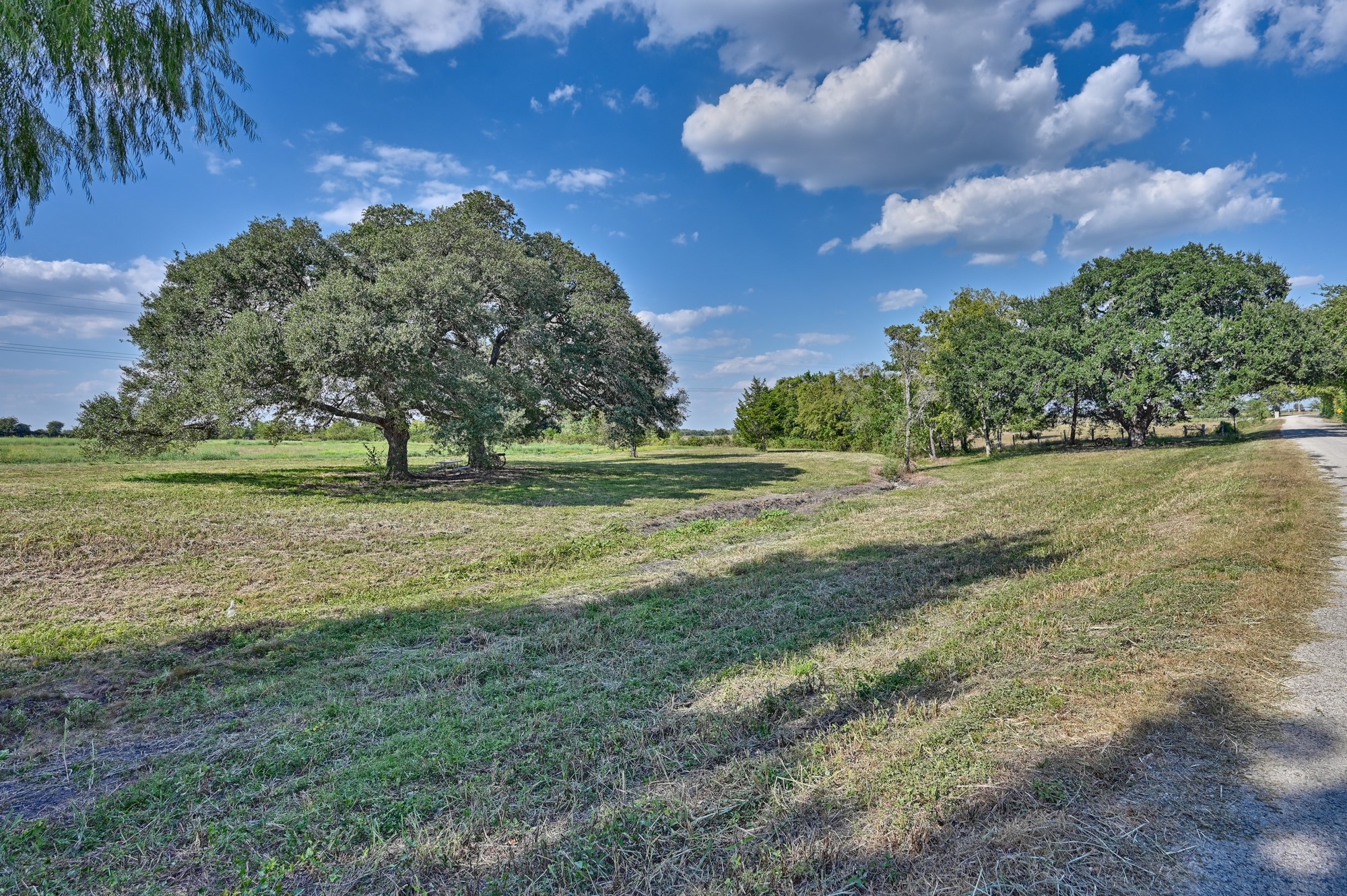 17-acres Ganske Road Burton, TX 77835 - Photo 4 of 40