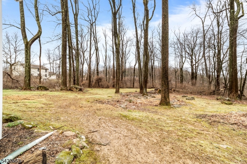 382 Mine Road Asbury, NJ 08802 - Photo 31 of 31