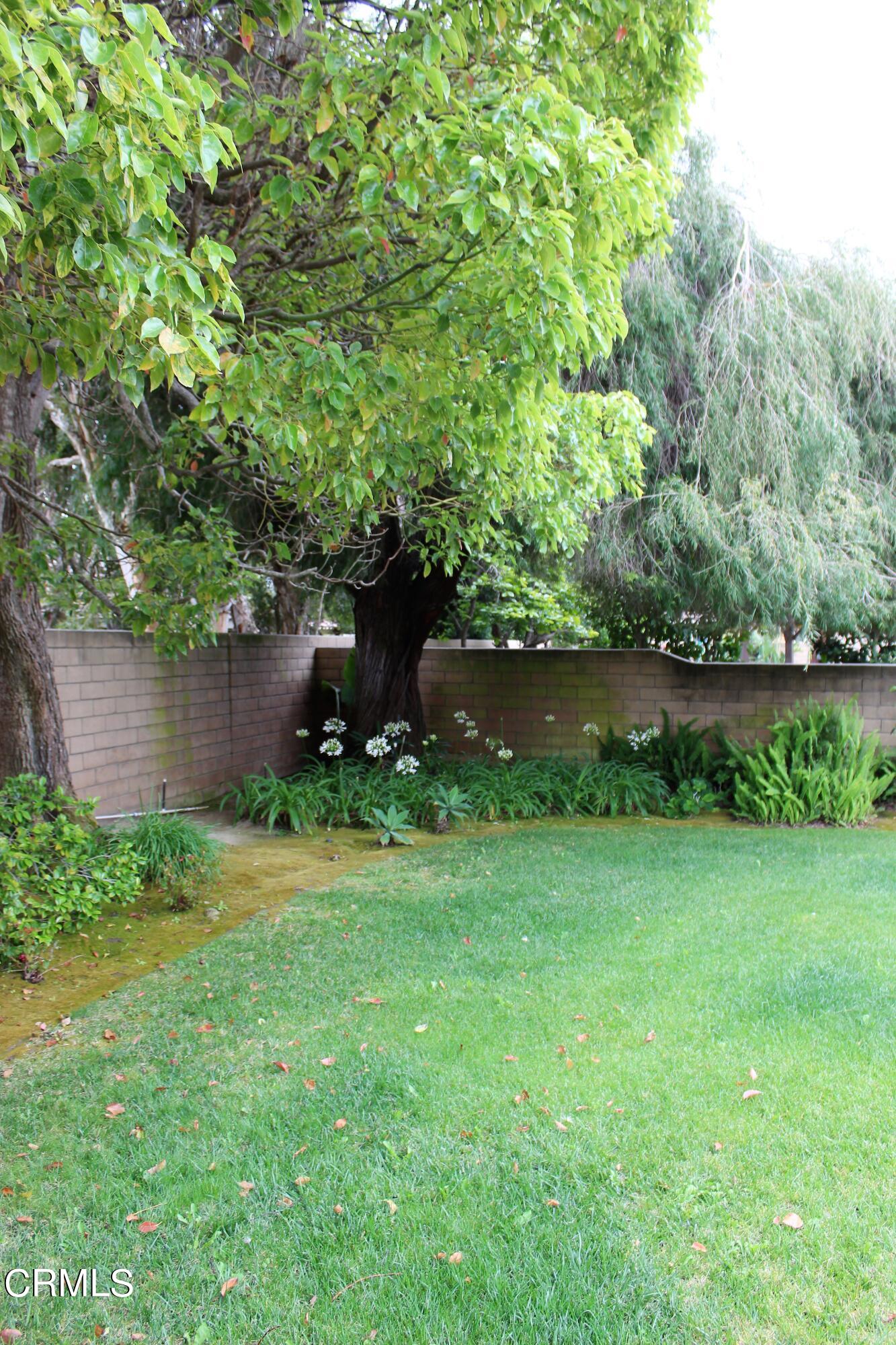 2202 Firestone Court Oxnard, CA 93036 - Photo 47 of 51 a view of a garden with a building in the background