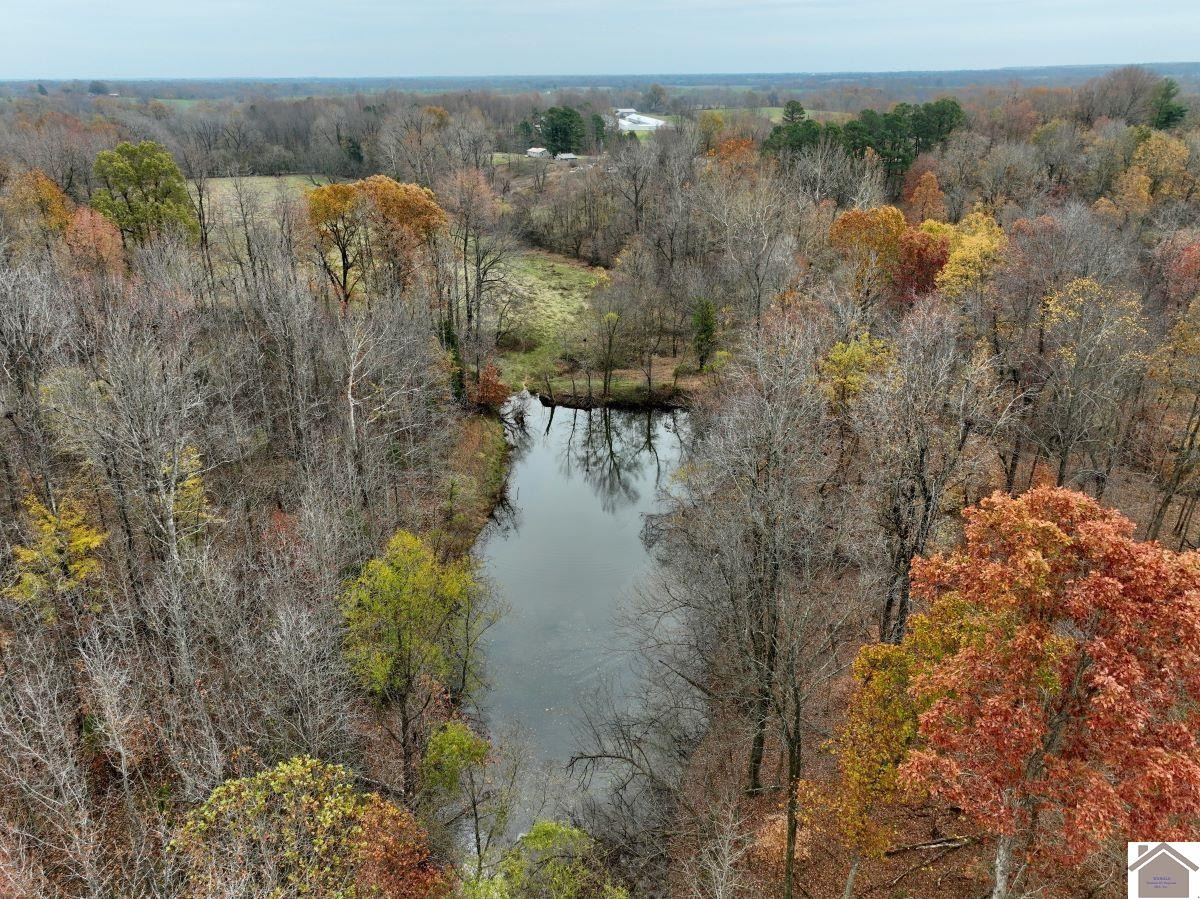 0 Beech Grove Road Hickman, KY 42050 - Photo 12 of 35 Photo 12