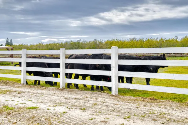 $2,699,990 | 13791 Castle Road, Manteca, CA 95336