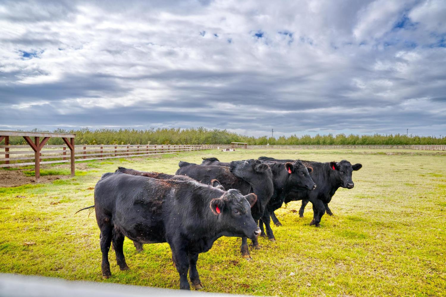 13791 Castle Road Manteca, CA 95336 - Photo 90 of 96