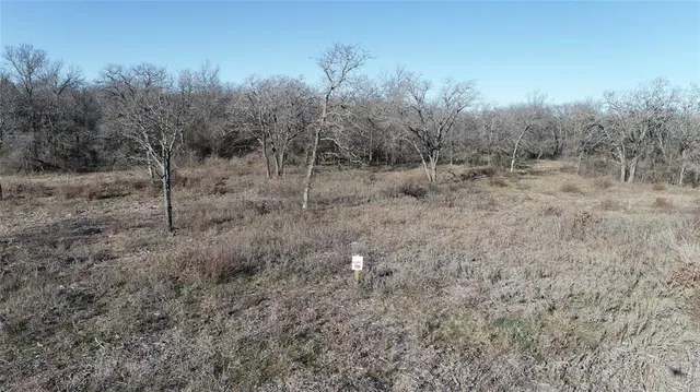 a view of a dry yard with trees