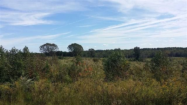 0 Breazeale Road, Unit TRACT C Liberty, SC 29657 - Photo 1 of 2