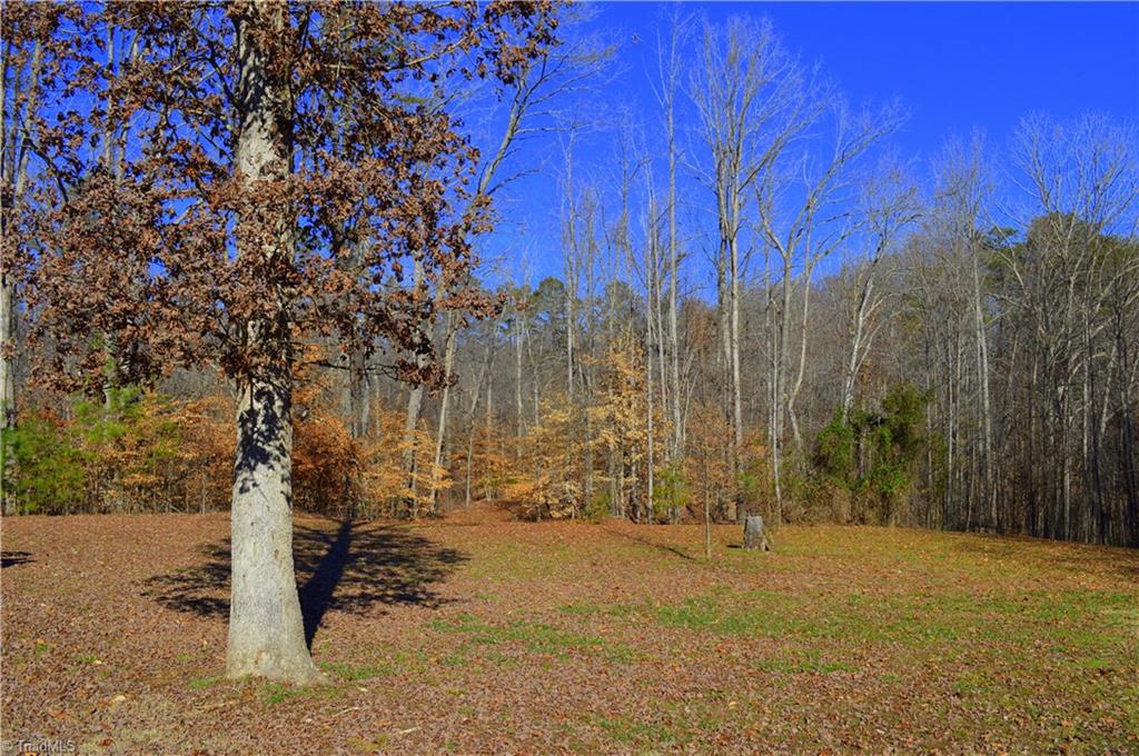 1275 Ridge Road Pine Hall, NC 27042 - Photo 7 of 30 Backyard