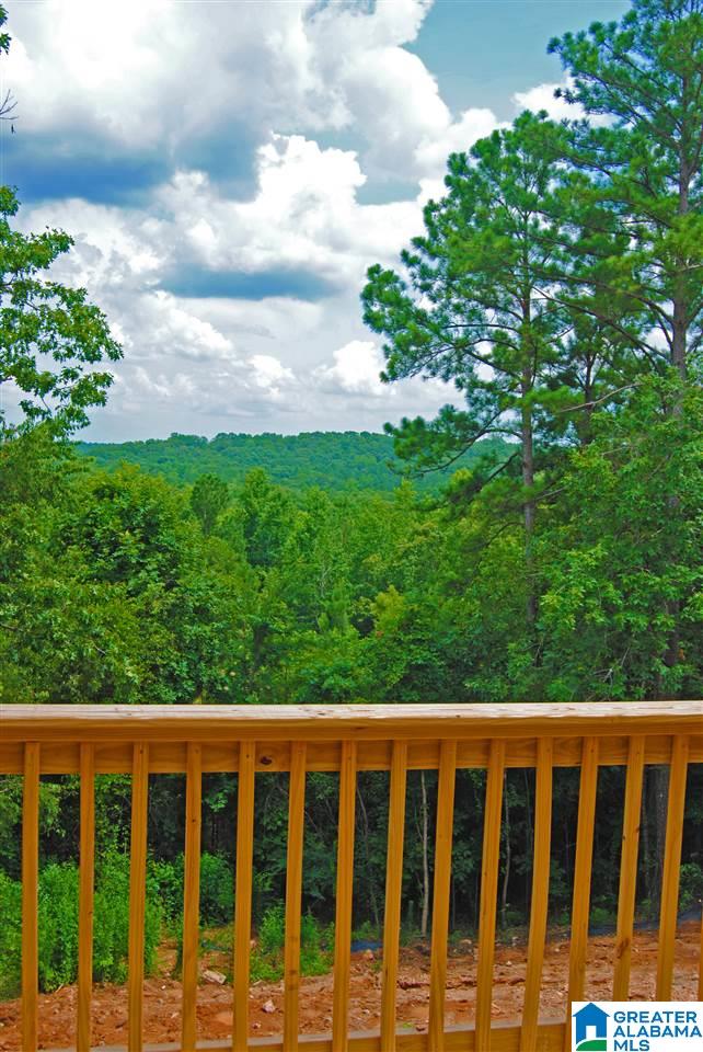 2060 Chelsea Ridge Drive Columbiana, AL 35051 - Photo 25 of 32
