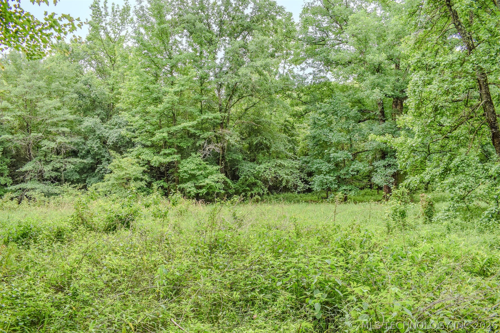 593 Tram Road Fort Towson, OK 74735 - Photo 59 of 60 Gallery Image 59