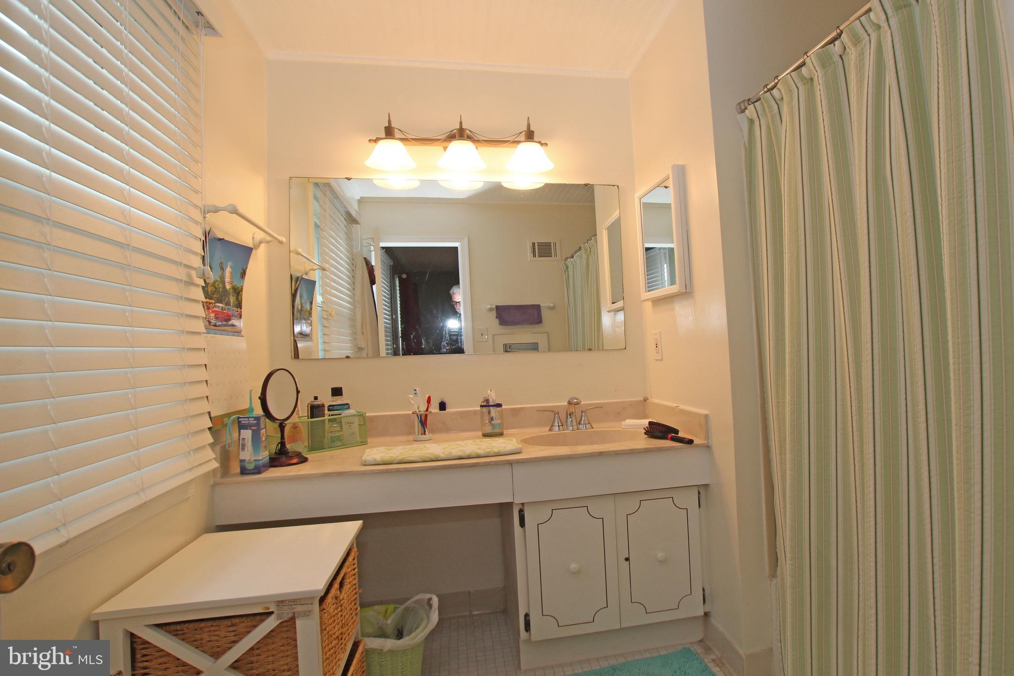 8132 Sleepy View Lane Springfield, VA 22153 - Photo 18 of 35 Master bath