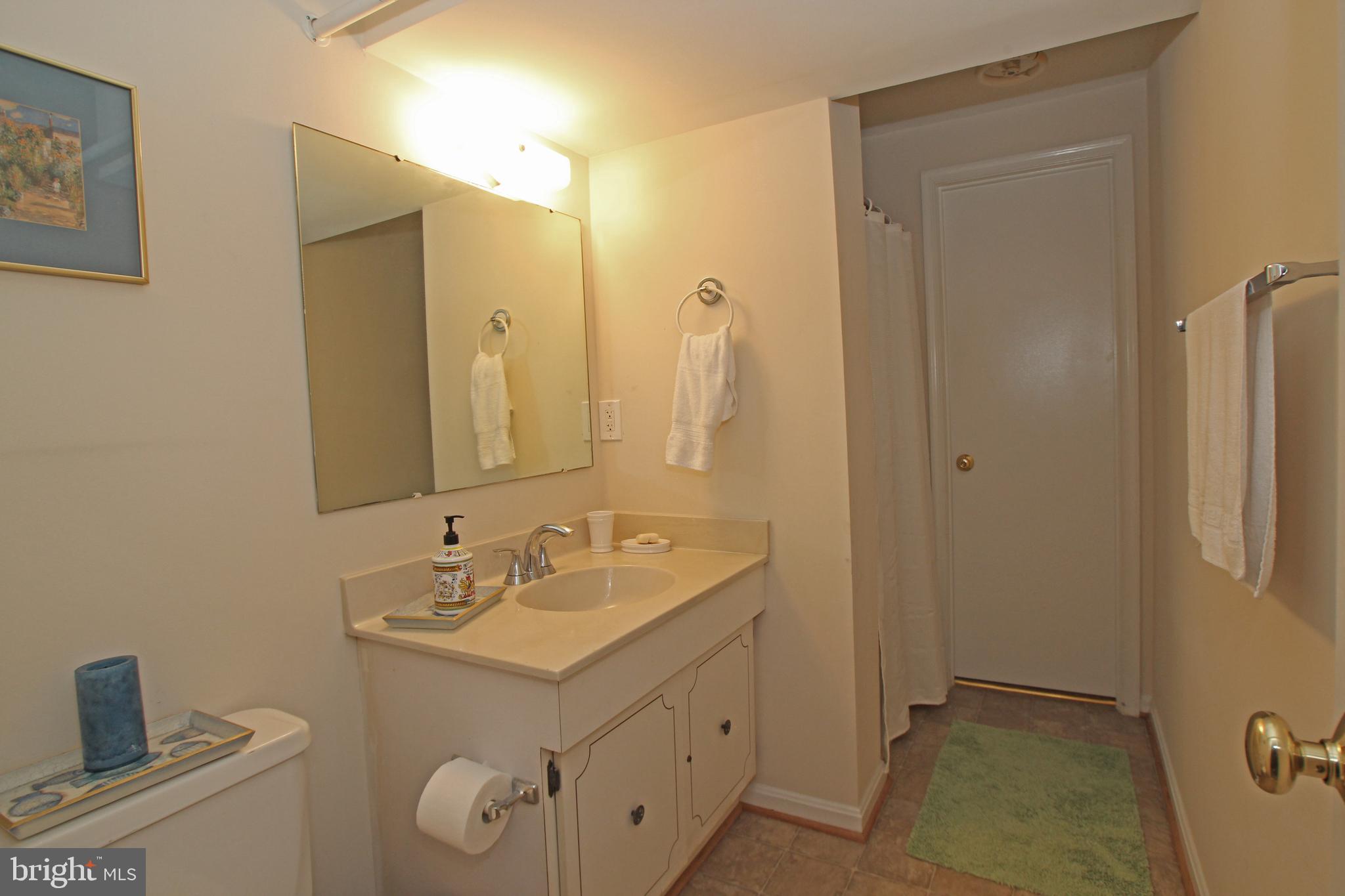 8132 Sleepy View Lane Springfield, VA 22153 - Photo 32 of 35 Lower level bath