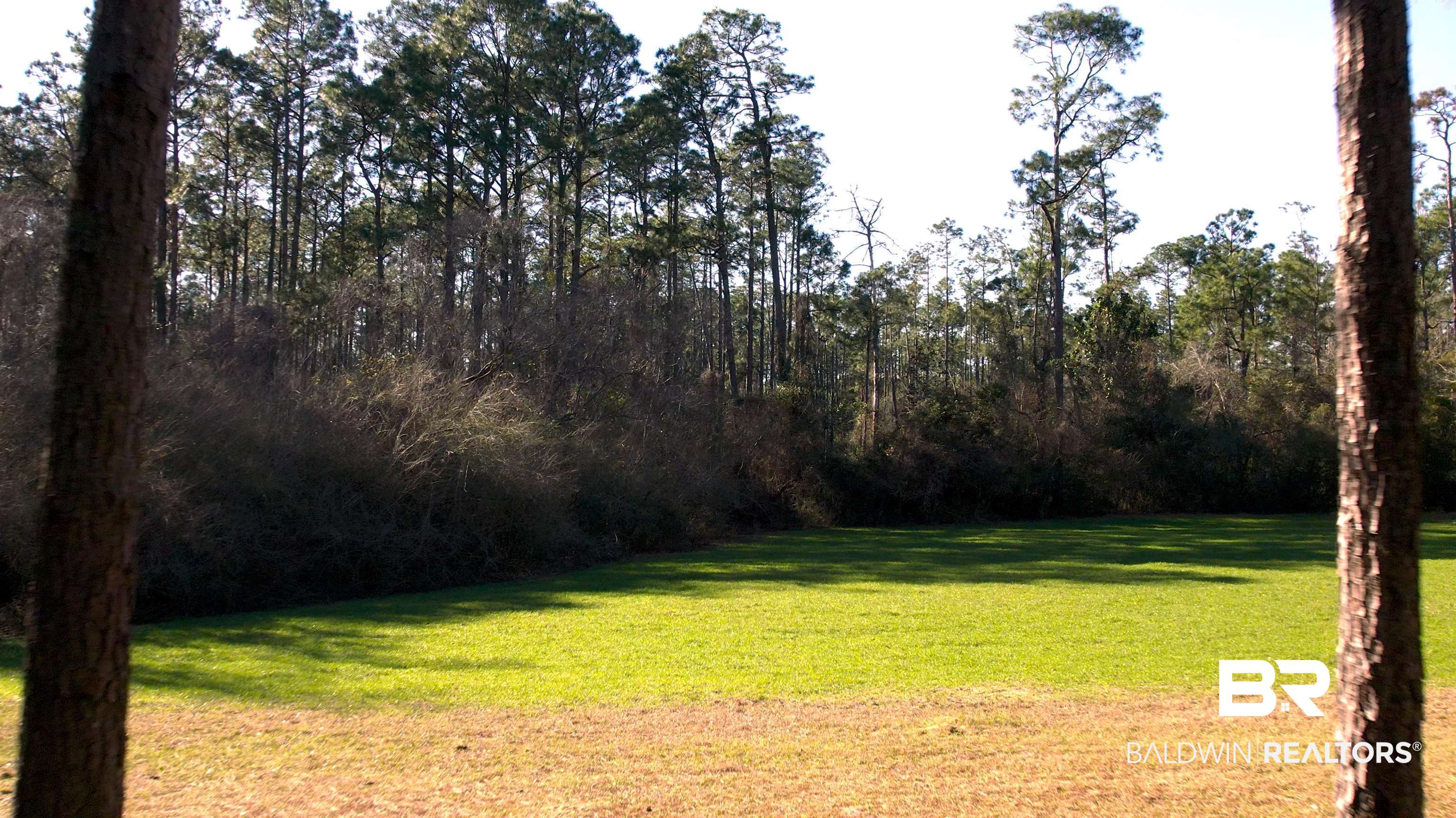 19025 -A Greek Cemetery Road Robertsdale, AL 36567 - Photo 42 of 50