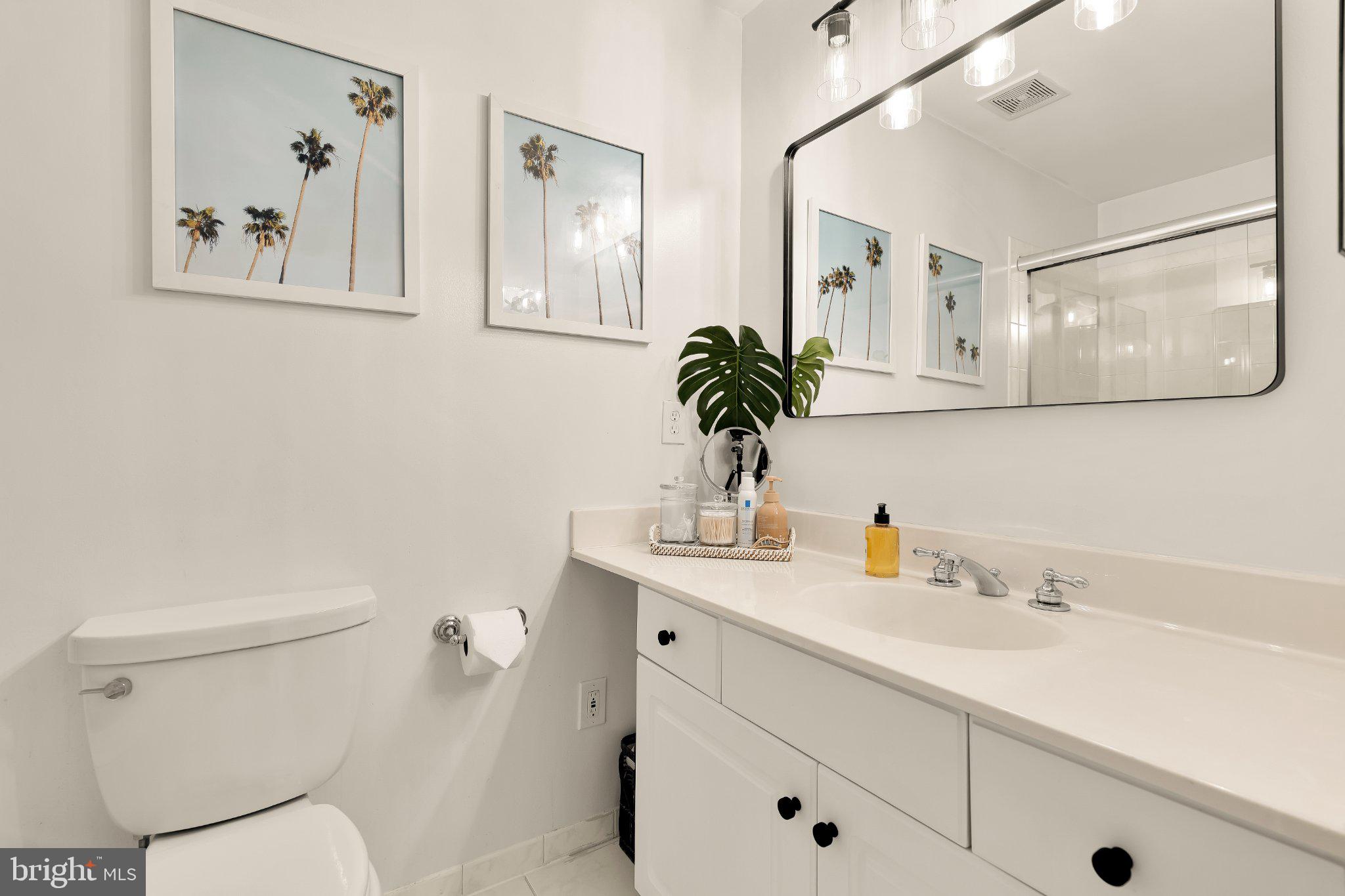 2116 21st Road North Arlington, VA 22201 - Photo 50 of 56 Bath for Bedroom #3