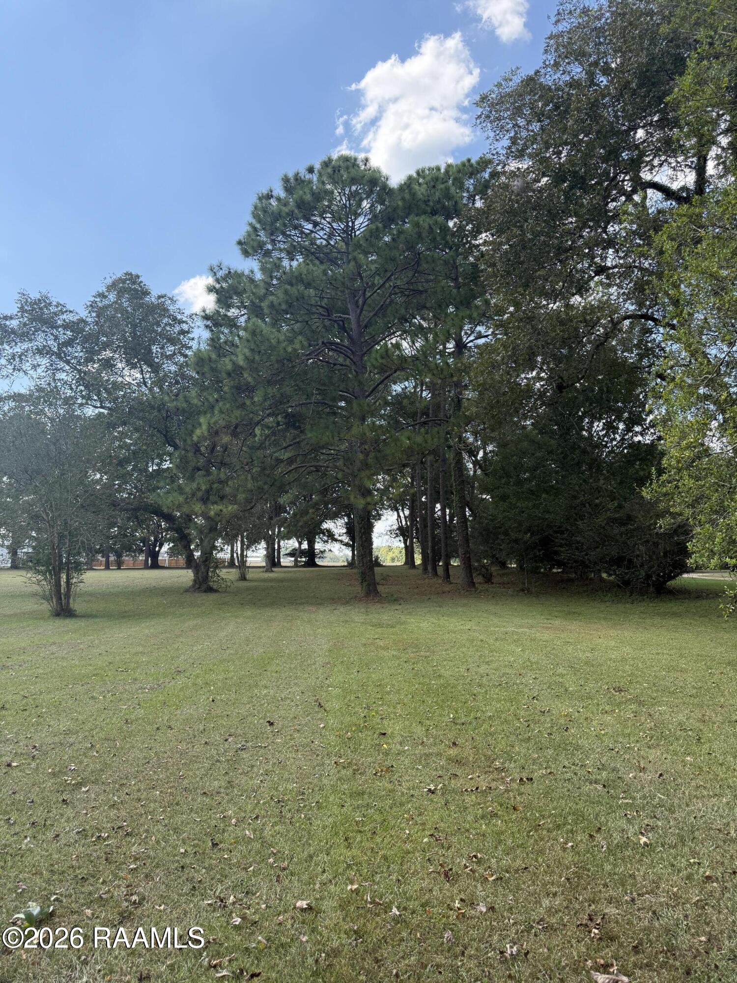 429 Catholique Road Carencro, LA 70520 - Photo 47 of 48 Yard (1)