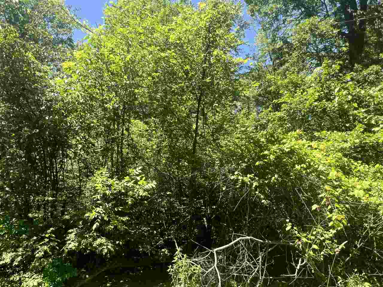 20-acres Roehrs Beaverton, MI 48612 - Photo 13 of 18 Gallery Image 13