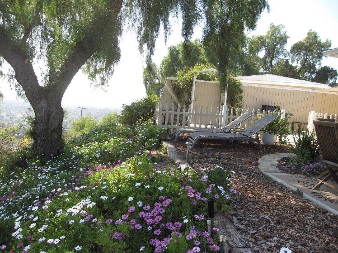947 Cheltenham Road Santa Barbara, CA 93105 - Photo 19 of 35 a view of a house with a tree