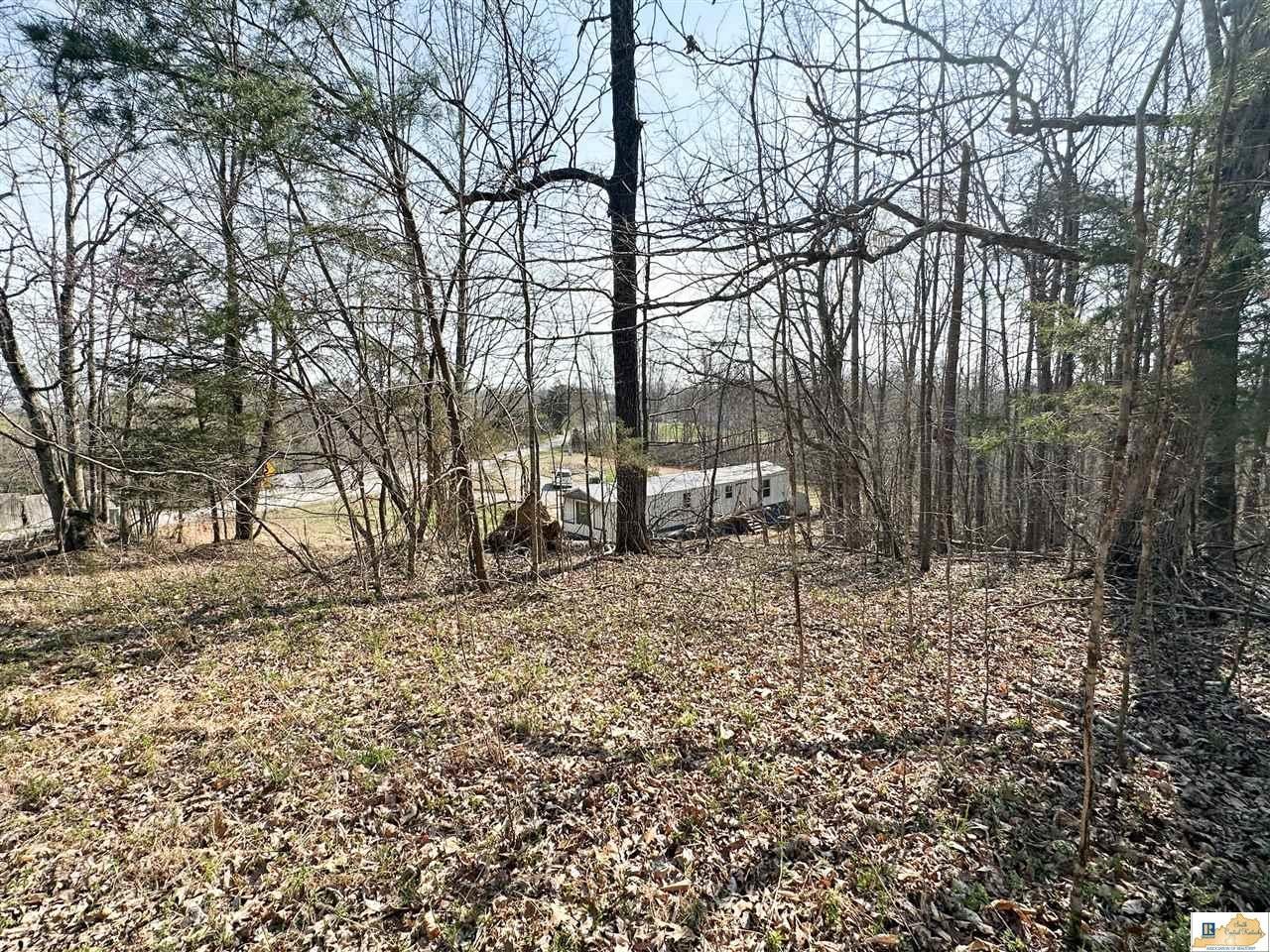 2931 Independence Ridge Road Breeding, KY 42715 - Photo 50 of 54 Gallery Image 50