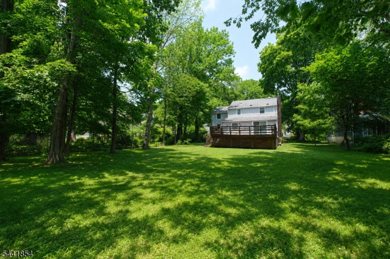 71 Willoughby Road Fanwood, NJ 07023 - Photo 4 of 34