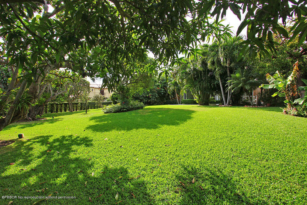 303 Arabian Road Palm Beach, FL 33480 - Photo 15 of 16 East Side Yard 2